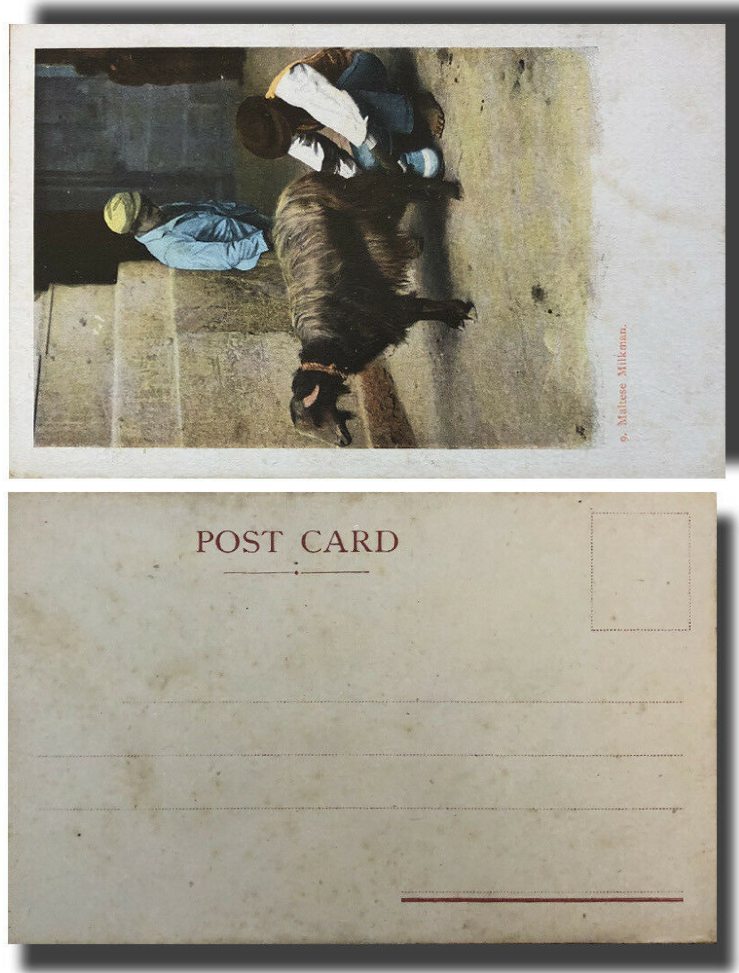 Undivided back postcards