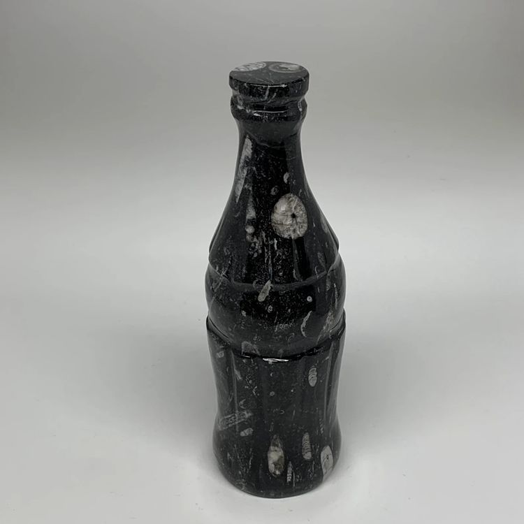 13. 1022 Grams Black Fossils Orthoceras Coke Bottle