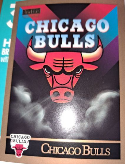 12. Chicago Bulls CheckList