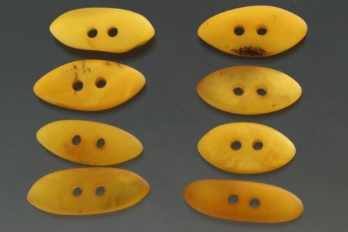 Baltic Amber Egg Yolk Collectable Buttons