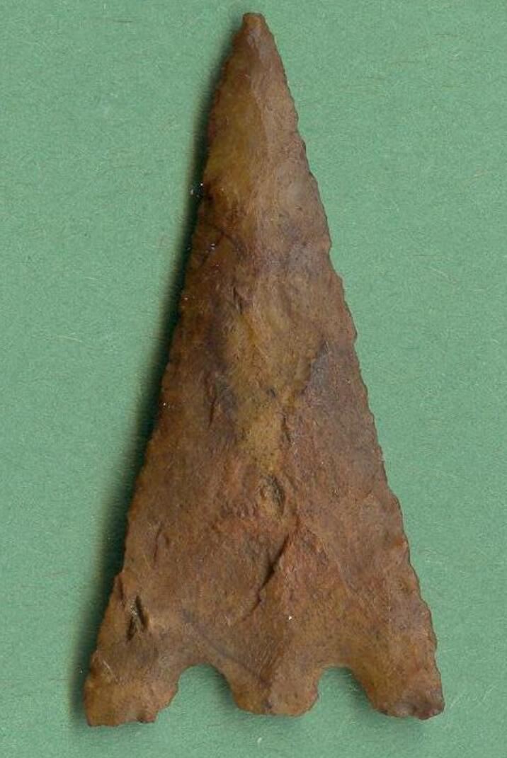 Hernando Projectile Point
