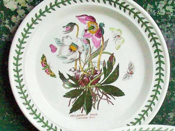 15 Most Valuable Antique China Patterns (Identification, Marks & Value Guide)