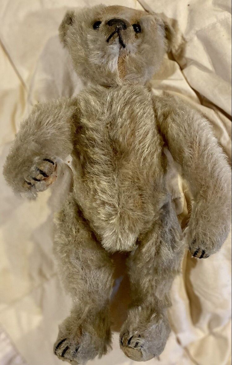 10-Inch Jointed German Teddy Bear with Shoebutton Eyes