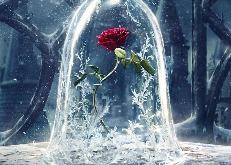 Enchanted Rose from Beauty & The Beast Collection