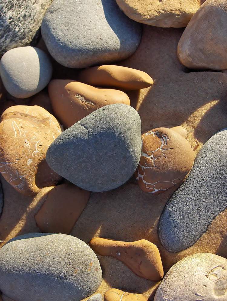 beach stone