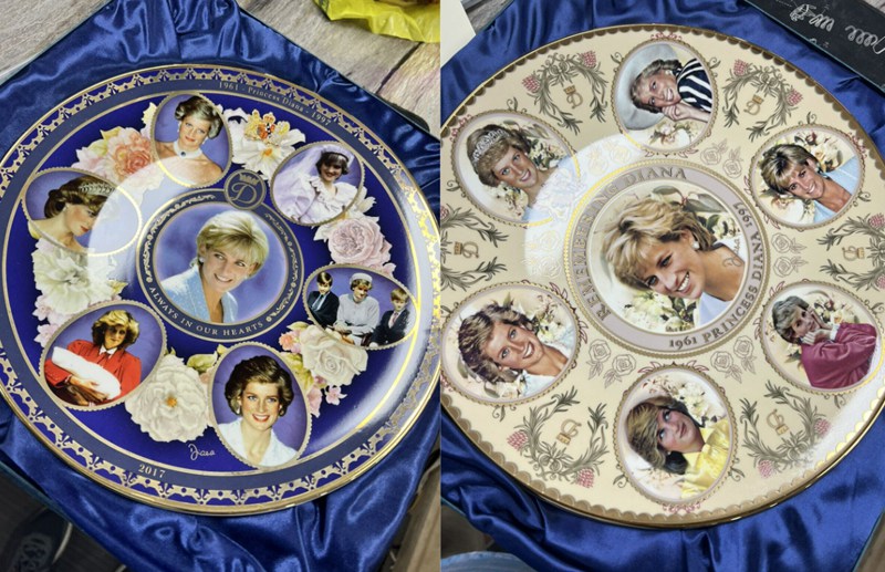2 Princess Diana Collectors Plate On Boxes